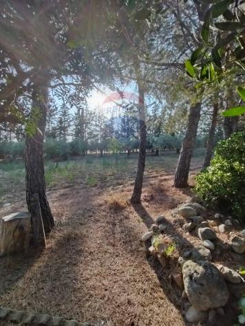 Villa o villino in vendita a Caltagirone - Foto 18