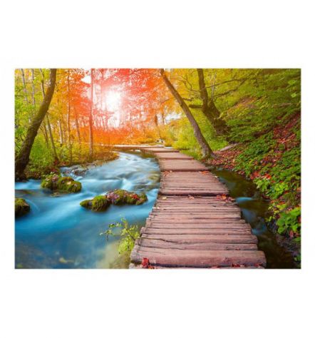 Fotomurale Adesivo Con La Passerella Sul Torrente Arredalacasa - Foto 2