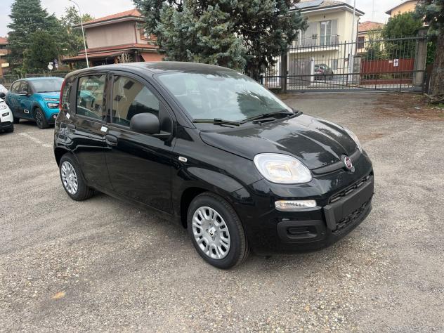 FIAT Panda Pandina 1.0 firefly hybrid Icon s&s 65cv - Foto 3