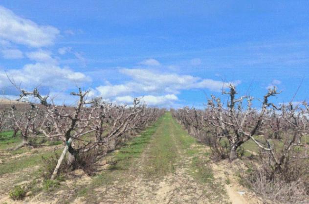 Immobile in asta di 4 m² in vendita a Altomonte - Foto 7