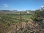 Appezzamento di terreno agricolo, con casa di abitazione, terreno di mq 32.621