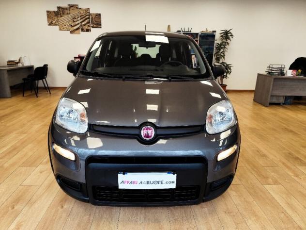 FIAT Panda 3ª serie Panda 1.0 FireFly S&S Hybrid - Foto 2
