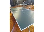 TAVOLO DA PING PONG GARLANDO