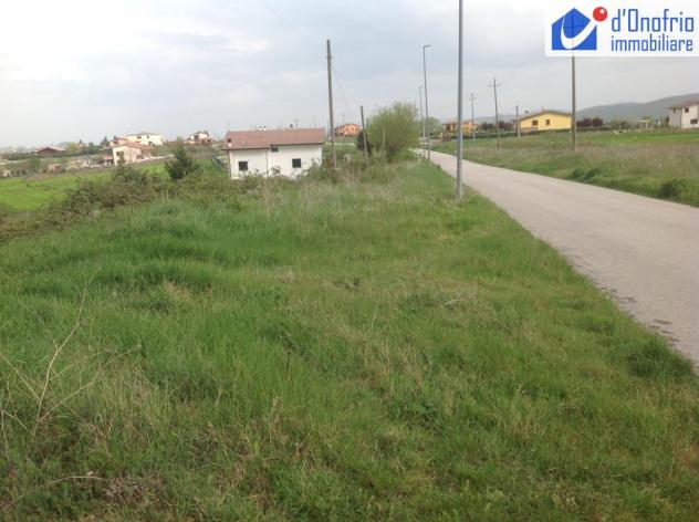 ORATINO (Campobasso) VENDESI APPEZZAMENTO DI TERRENO FRONTE STRADA DI MQ 3.300 CONTRADA LAMMERTI - Foto 3