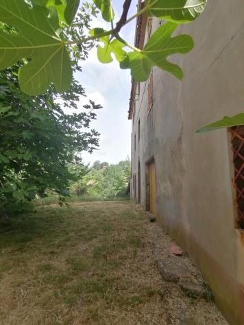 Nella campagna del comune di Sorano, precisamente nella frazione di Montebuono, vendiamo immobile con magazzini vari per un totale di 110mq e piccolo - Foto 6
