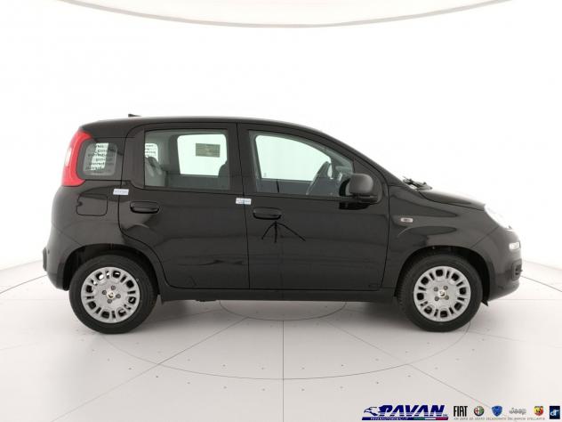 FIAT Pandina Panda 1.0 FireFly 65 CV Hybrid Icon - Foto 5