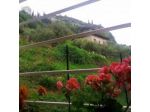 B&B Il Gelso Nero