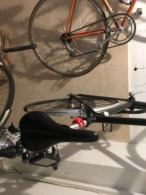 Bicicletta - Foto 2
