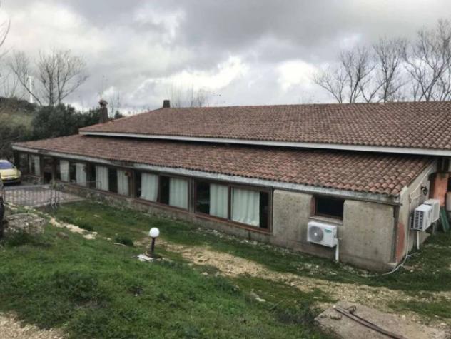Immobile in asta di 1700 m² in vendita a Nulvi - Foto 13