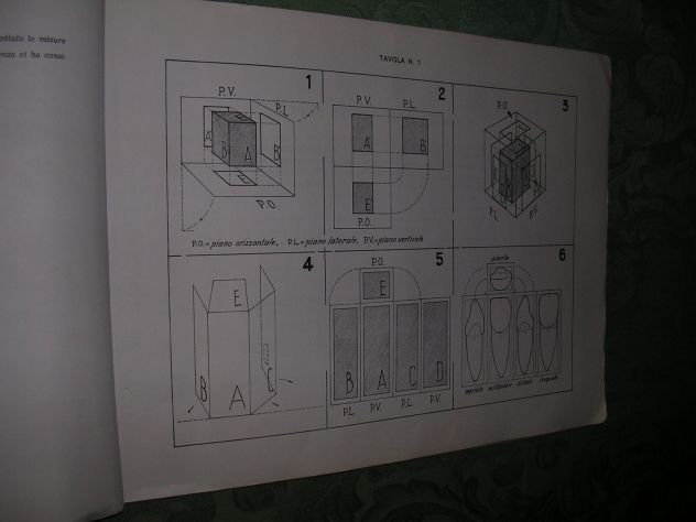 IL DISEGNO DEI DENTI - Foto 4