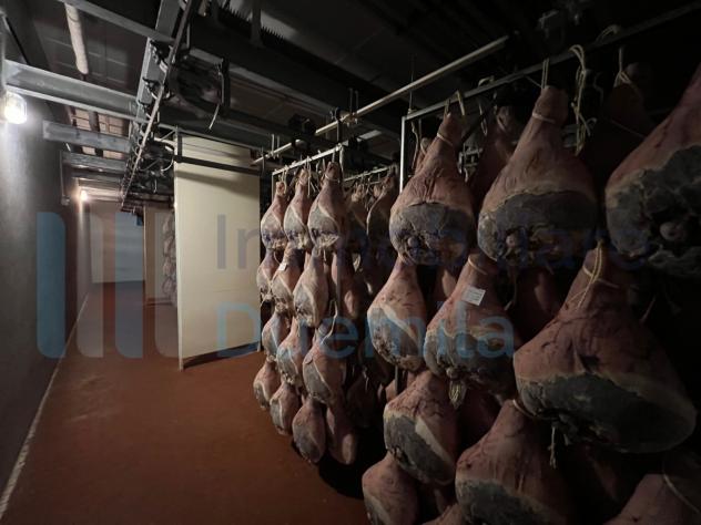 Artigianali in vendita a Savignano sul Panaro - Foto 10