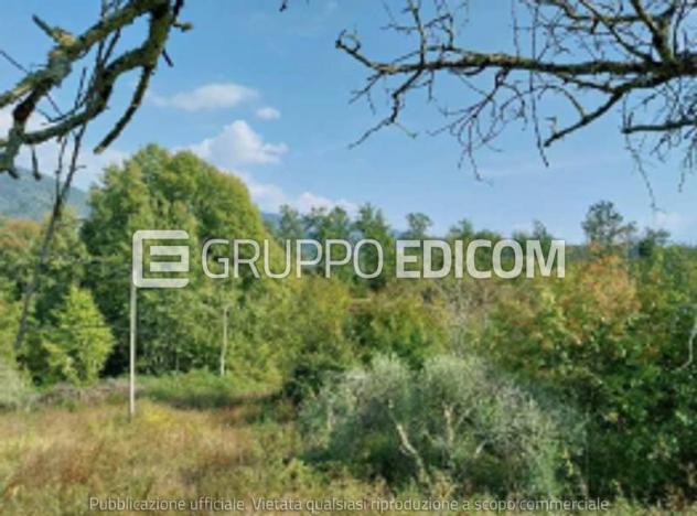 Terreno di 28334 mq  in vendita a Bagnone - Rif. 4554405