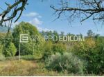 Terreno di 28334 mq  in vendita a Bagnone - Rif. 4554405