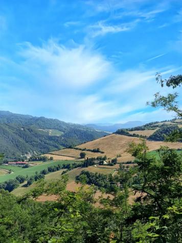 Rustico a Dovadola - Foto 11