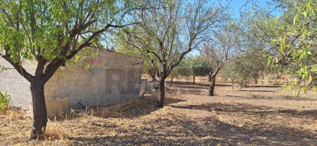Terreno in vendita a Noto