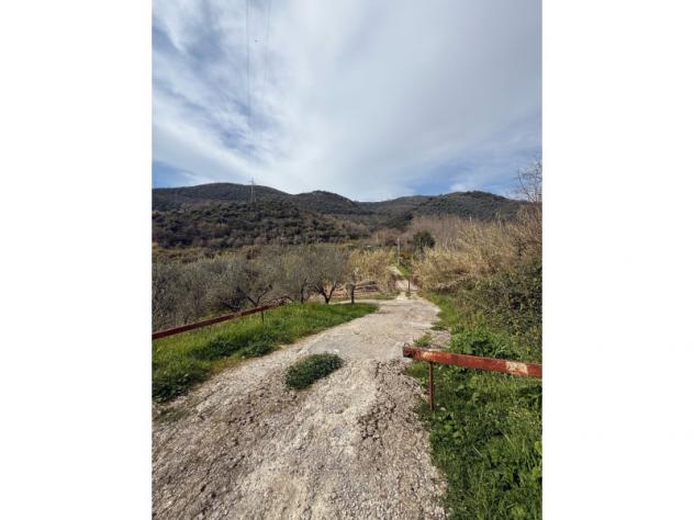 Agricolo in Via Trinità - Foto 10