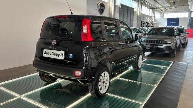 FIAT Panda 0.9 TwinAir Turbo Natural Power Easy rif. 24199142 - Foto 5