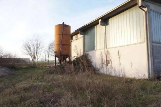 Immobile in asta di 363 m² in vendita a Commessaggio - Foto 2