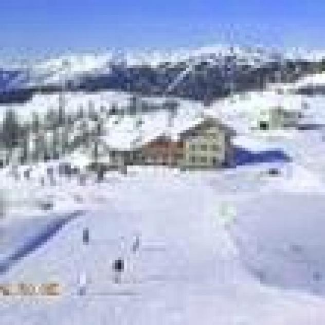 Albergo Alpina di Aldrighetti Romeo & C. S.n.c. - Foto 4