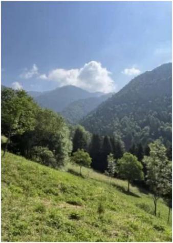 Immobile in asta di 30510 m² in vendita a Colere - Foto 11