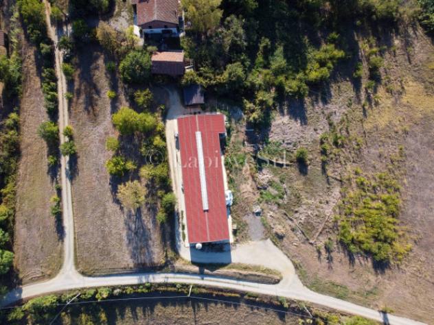 Rustico / Casale di 70000 m² con più di 5 locali in vendita a Fubine Monferrato - Foto 3