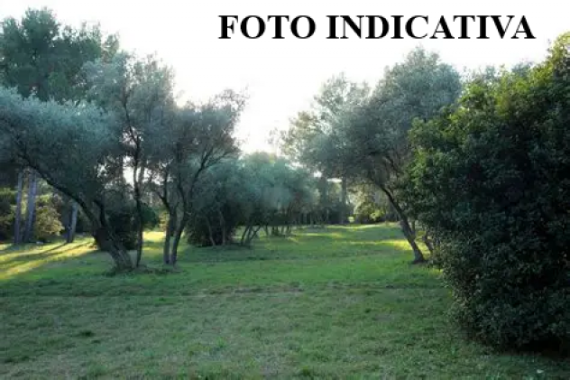 Terreno agricolo in vendita a Orzignano - San Giuliano Terme 10930 mq  Rif: 1440721