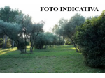 Terreno agricolo in vendita a Orzignano - San Giuliano Terme 10930 mq  Rif: &hellip;