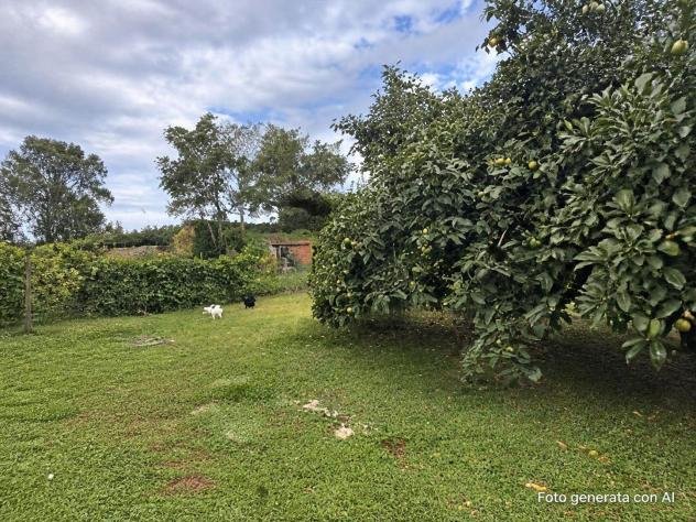 Terratetto in Vendita in zona VOLTANA con giardino - Foto 9