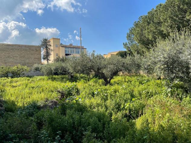 Industriale in vendita a Trapani - Foto 4