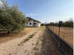 Trilocale in affitto a Ferentino