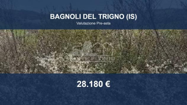 Immobile in asta di 29832 m² in vendita a Bagnoli del Trigno
