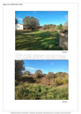 Terreno di 13507 mq in vendita a Bracciano - Rif. 4556556 - Foto 2