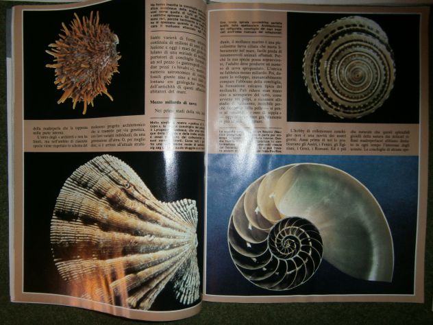 Riviste "Scienza & vita nuova. Mensile 1980 annata completa" - Foto 10