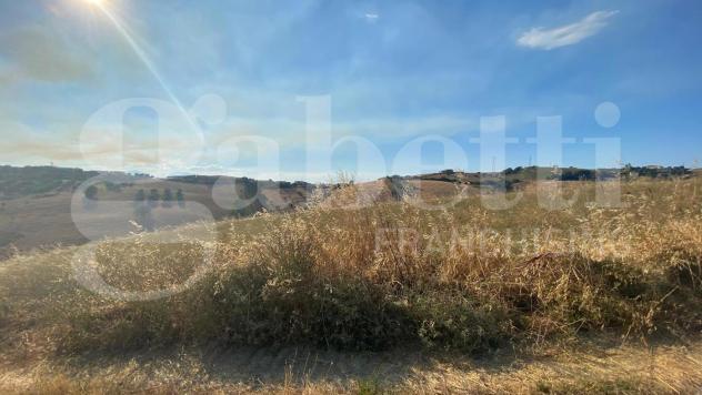 Terreno Agricolo - Roseto degli Abruzzi . Rif.: Cod. rif A132VRG - Foto 10