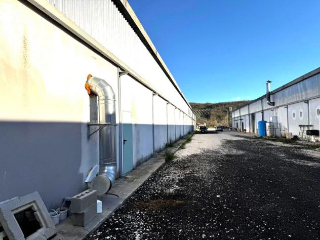 Industriale/Artigianale in vendita a Broccostella - Foto 16
