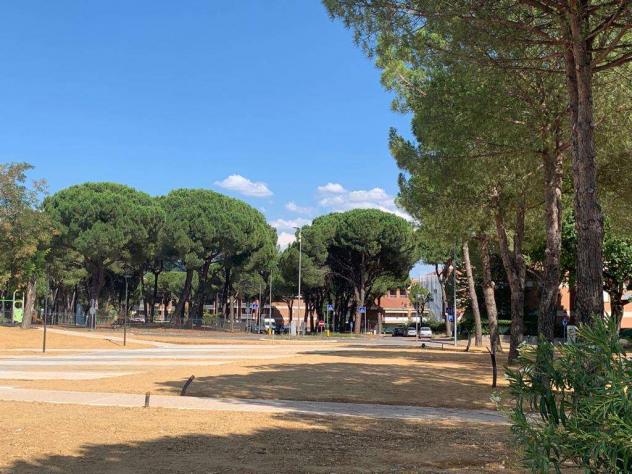 C2850SP - San Mariano - Vendiamo locale ottima redditività! - Foto 5