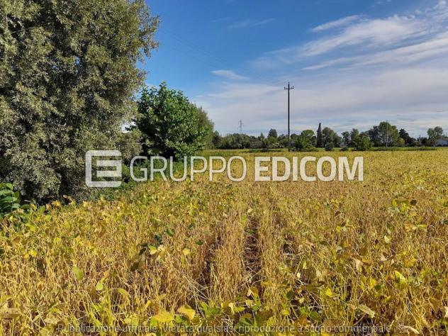 Terreno di 16800 mq in vendita a Fossalta di Portogruaro - Rif. 4551605