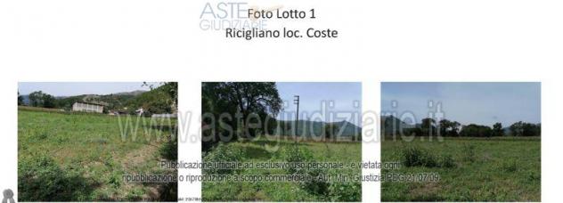 IMMOBILI-ALTRA CATEGORIA-Località Coste - Foto 3