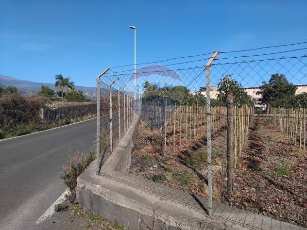 Terreno Industriale in vendita a Riposto - Foto 15