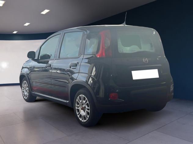 FIAT Panda Panda 1.0 FireFly 70cv S&S Hybrid - Foto 5