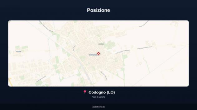 Immobile in asta di 3 m² in vendita a Codogno - Foto 10