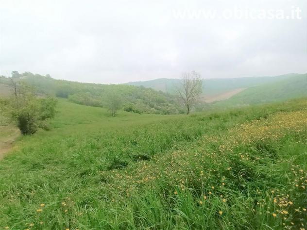 Terreno Agricolo - Rif. 825 - Foto 2