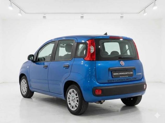 FIAT Panda 1.0 FireFly S&S Hybrid rif. 23826295 - Foto 3
