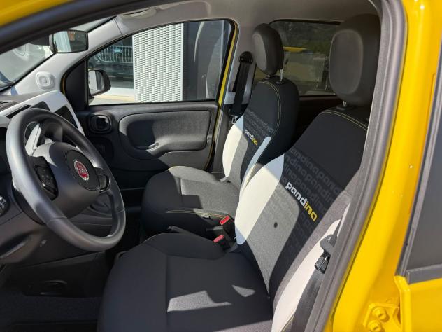 FIAT Pandina Pandina Cross 1.0 firefly hybrid s&s 65cv - Foto 9