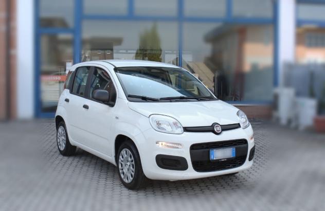 FIAT Panda 3ª serie Panda 1.0 FireFly S&S Hybrid Pandina - Foto 2