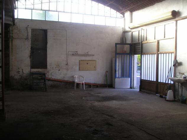 Capannone / Fondo in affitto a Casciana Terme Lari - Foto 6