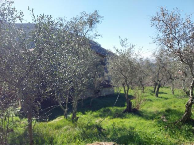 Casa singola in vendita a Calci 220 mq Rif: 1317271 - Foto 4
