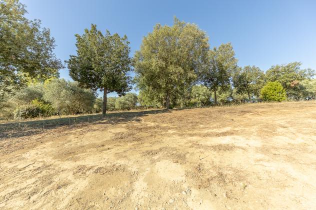Villa in vendita a Montalto di Castro - Foto 18