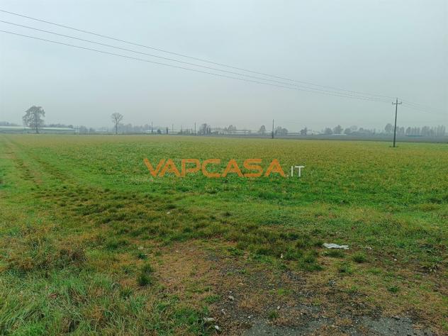 TERRENO AGRIOLO PIANEGGIANTE CON ACCESSO DIRETTO - Foto 11