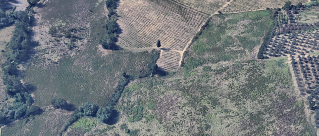 Terreno agricolo in vendita a Poggibonsi 300000 mq Rif: 1253765